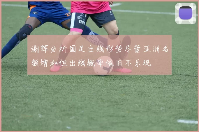 谢晖分析国足出线形势尽管亚洲名额增加但出线概率依旧不乐观