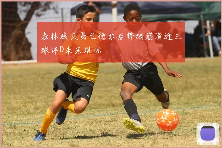 森林狼交易兰德尔后锋线崩溃迎三球评D未来堪忧